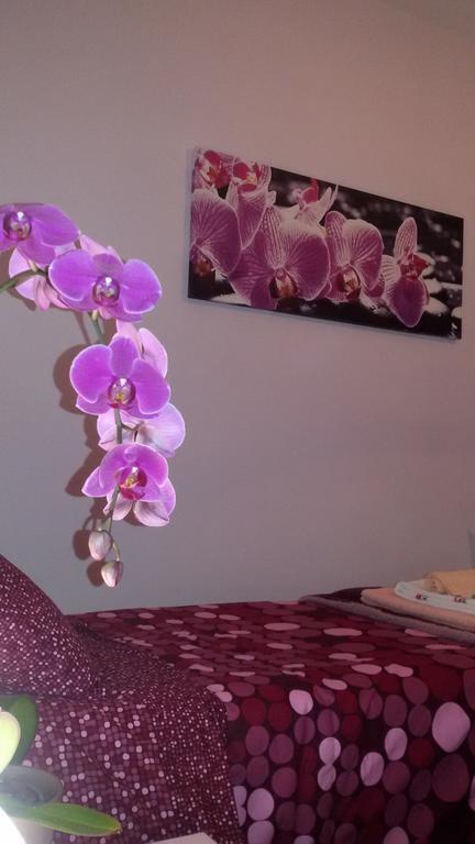 B&B Interno 8 โรม ห้อง รูปภาพ